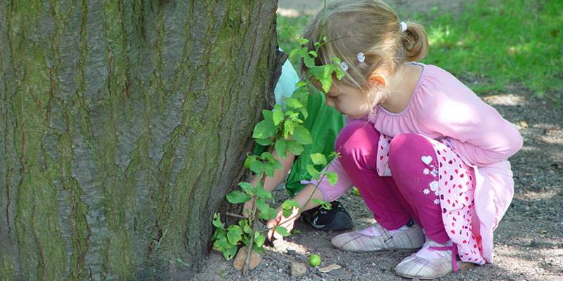 anlass-fg-teufen-buehler_aetherische-oele